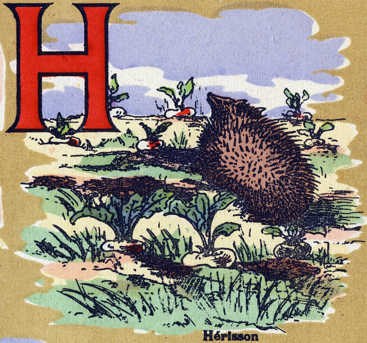 Herisson. Kuvitettu aakkoset. Kuvat yhdistyivät Jarville-Nancyssa 1900-luvun alussa. Mitat: 40 x 29 cm. Litografia bistre-taustalla tekijältä Unbekannt