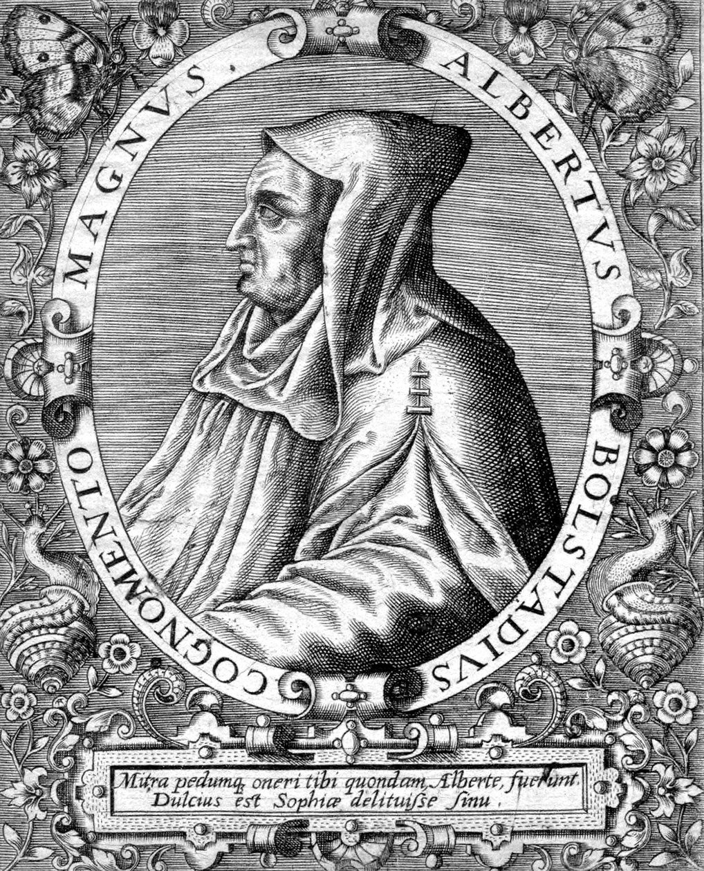 Albert Magnus (1193/1206-1280) saksalainen dominikaanimunkki , tiedemies, filosofi ja teologi, kaiverrus. tekijältä Unbekannter Künstler