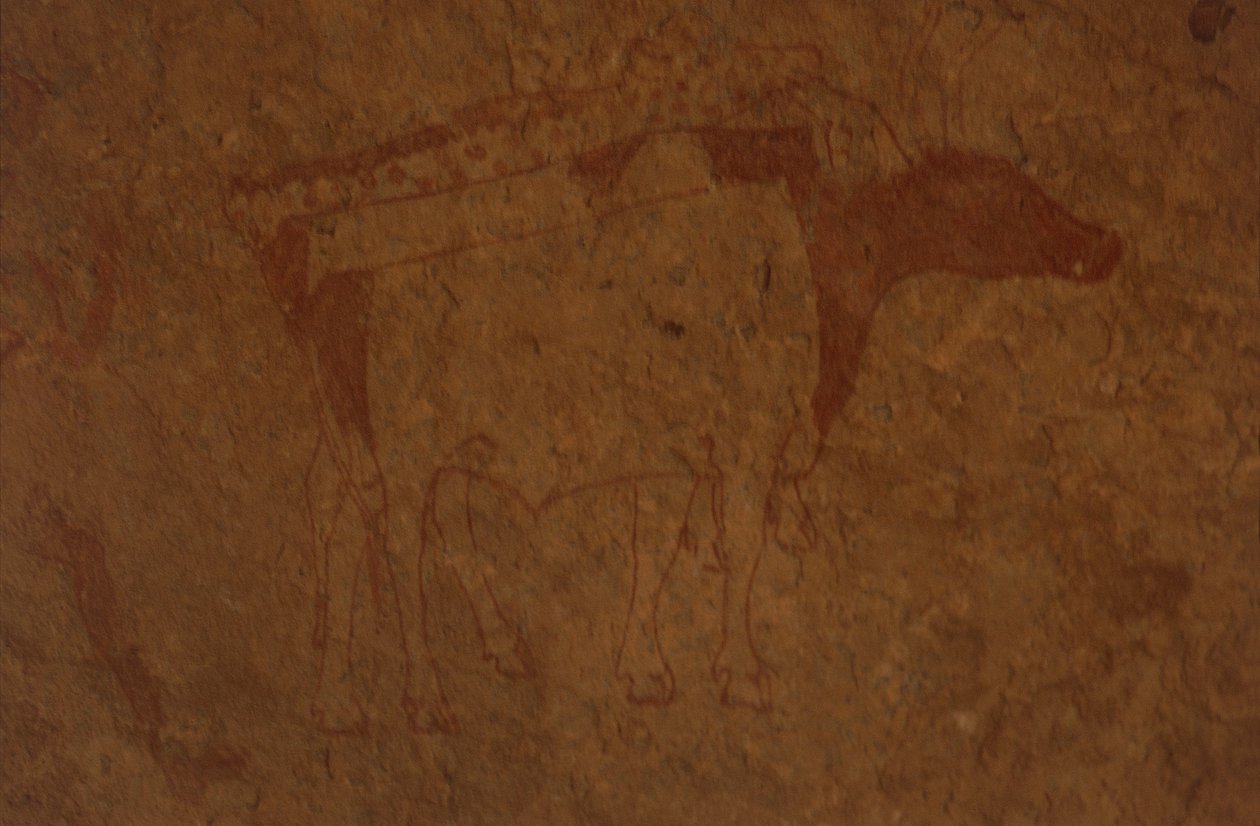 Algeria, Saharan autiomaa, Tassili-n-Ajjerin kansallispuisto, Sefarin paikka, härkää kuvaava kalliomaalaus. tekijältä William M. Timlin