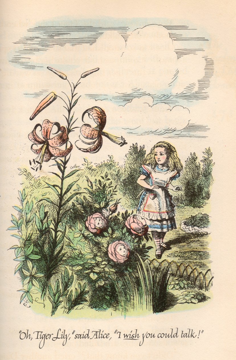 Liisa Ihmemaassa & Through the Looking Glass, Lewis Carroll, kuvittanut John Tenniel tekijältä Unbekannt