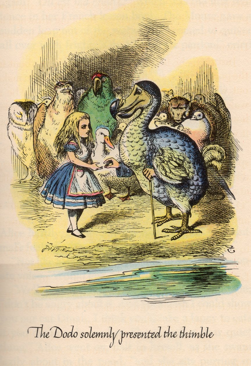Liisa Ihmemaassa Lewis Carroll, kuvittanut John Tenniel tekijältä Unbekannt