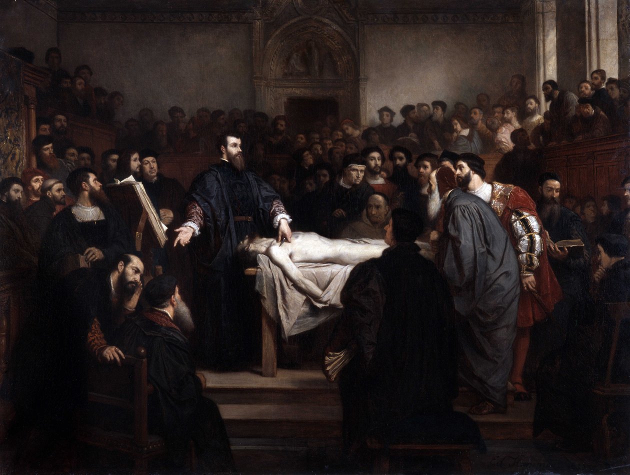 Anatomia lecon. Andre Vesale (1514-1564), flaamilainen anatomi (Andrea Vesalius tai Andries Van Wesel) Padovassa (Padova), Italiassa. tekijältä Unbekannter Künstler