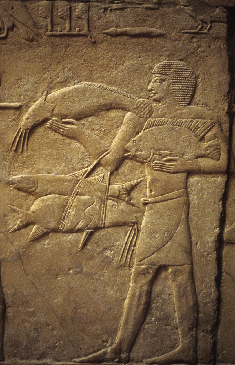 Muinainen Egypti: Saqqarah (tai Saqqara tai Sakkarah): Vanhan Imperiumin hautausmaa, aatelisten hauta. Yksityiskohta kalastajaa edustavista reliefeistä. tekijältä Leopold Blonder