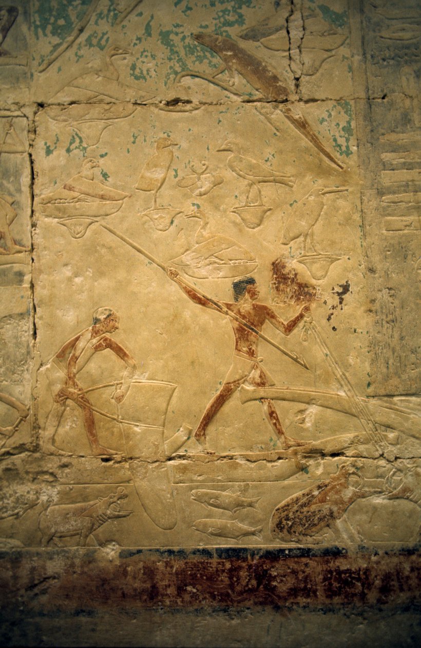 Muinainen Egypti: Saqqarah (tai Saqqara tai Sakkarah): Vanhan Imperiumin hautausmaa, aatelisten hauta. Yksityiskohta kalastuskohtausta kuvaavista reliefeistä. tekijältä Leopold Blonder