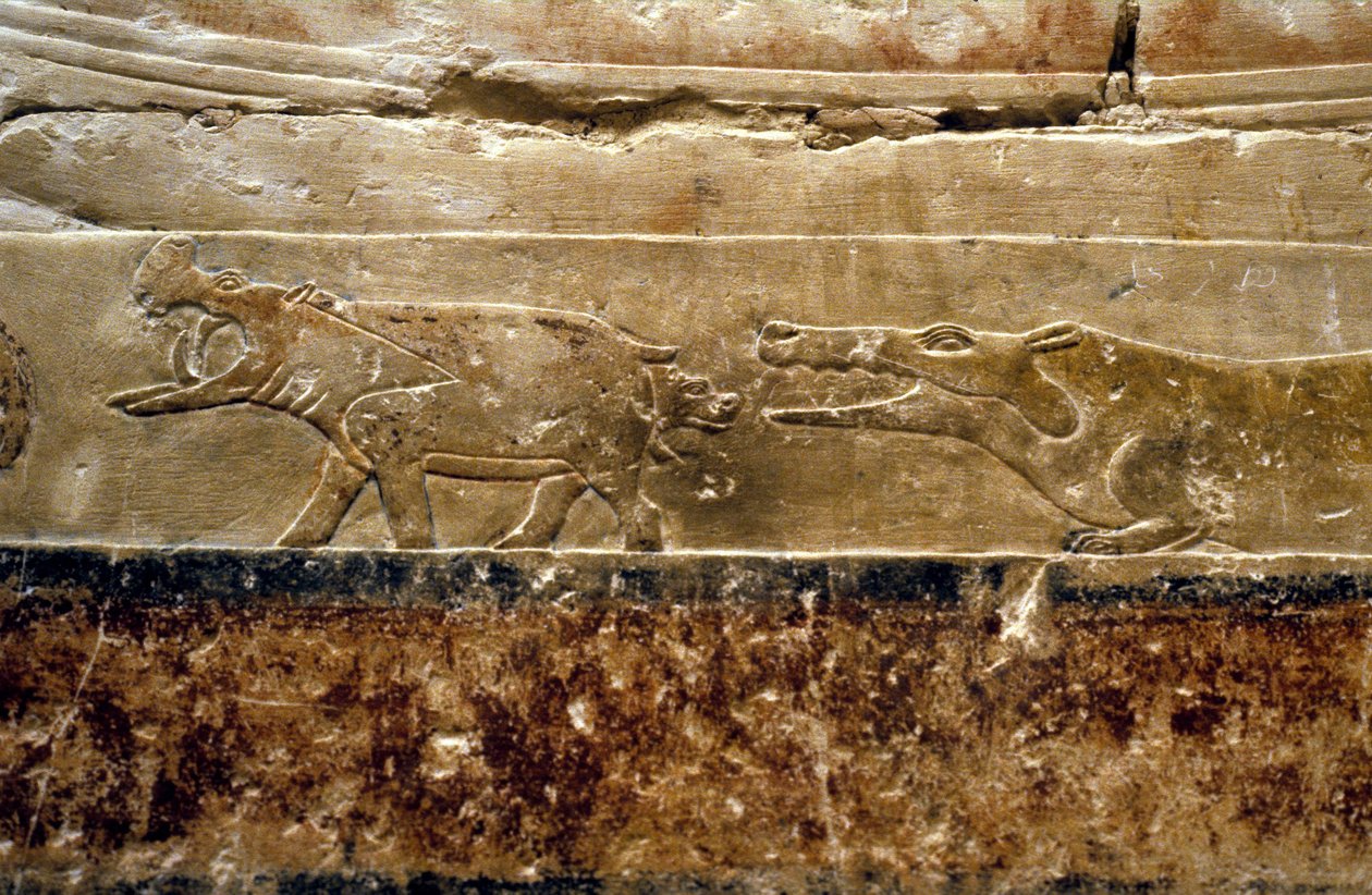 Muinainen Egypti: Saqqarah (tai Saqqara tai Sakkarah): Ti:n hauta (virallinen 5. dynastian aikana. Yksityiskohta virtahepoista). tekijältä Leopold Blonder