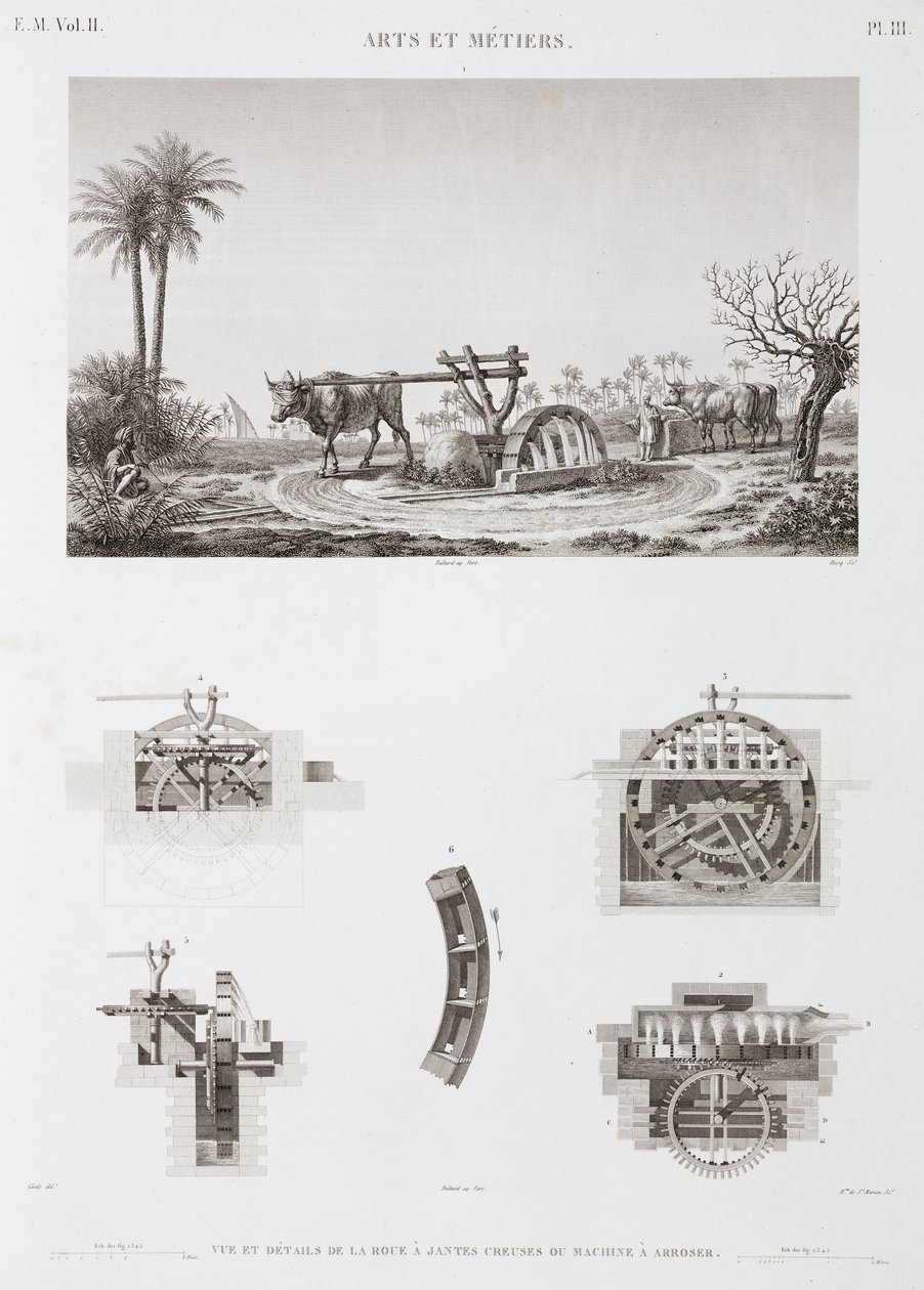 Animal Power Animal-powered irrigation, Egypti, n. 1798 tekijältä Unbekannt