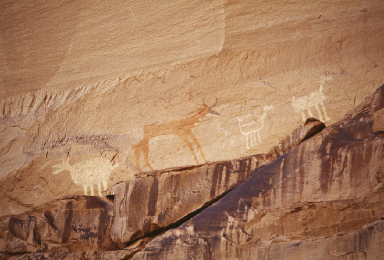 Eläinhahmoja, navajotaiteilijoiden kalliomaalauksia, Canyon de Chelly National Monument, Navajo Indian Reservation, Arizona, USA tekijältä Benjamin Baud