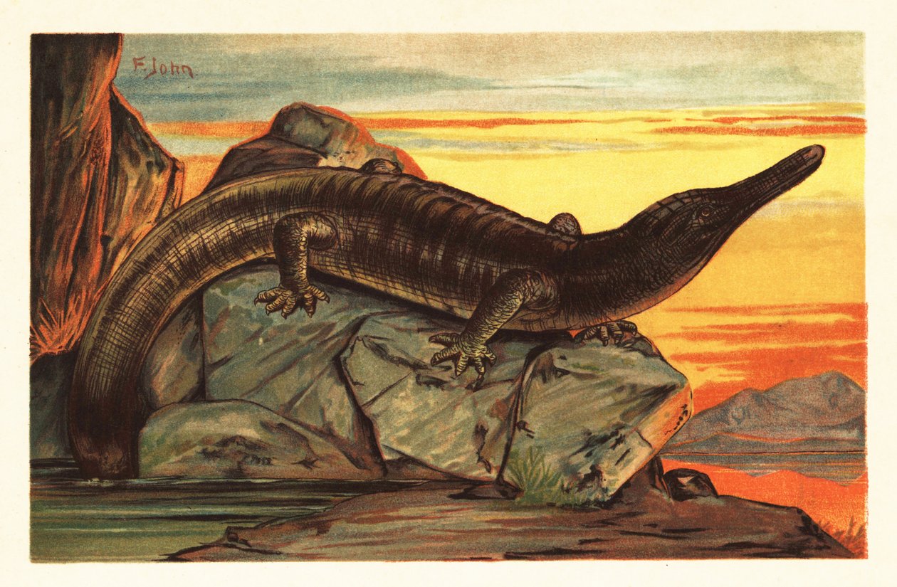 Archegosaurus decheni paistattelee kalliolla.1908 (litografia) tekijältä Unbekannter Künstler