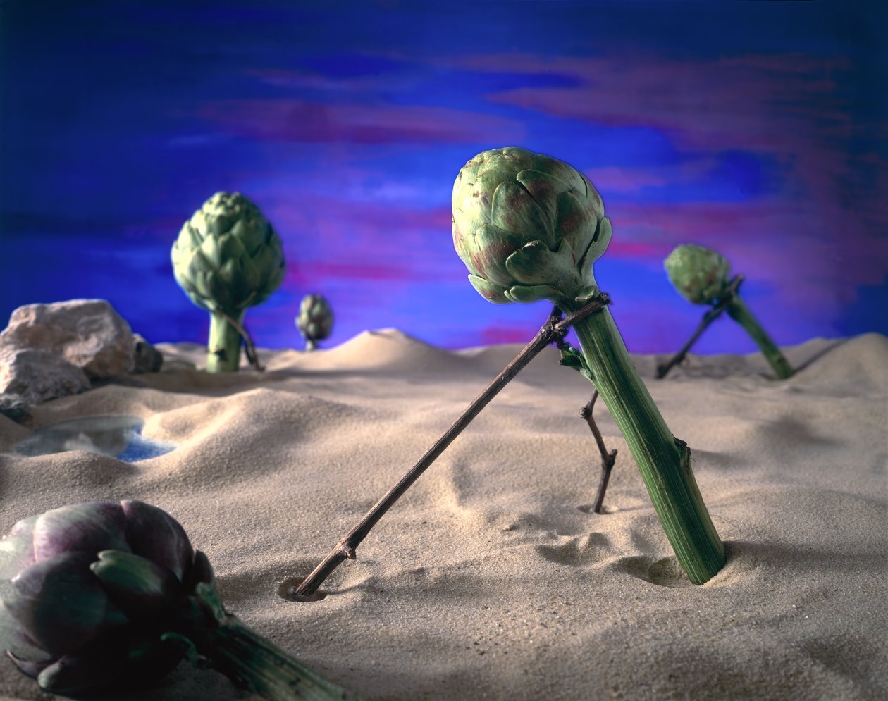 Artisokka (Dali) 1996 (kuva) tekijältä Unbekannter Künstler