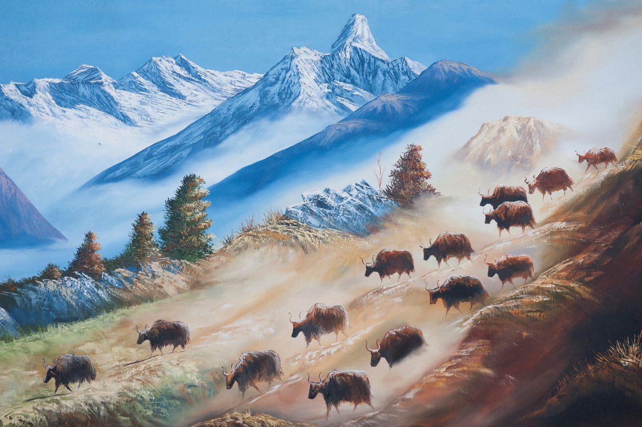 Taide; maalaus jakkilaumasta Ama Dablam -vuoren alla; maalaiselämä; galleria Katmandussa; Nepal; Aasia tekijältä Unbekannt
