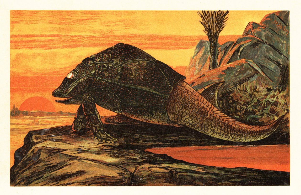 Asterolepis cornutus, sukupuuttoon kuollut panssaripinnoitettu kalalaji.1908 (litografia) tekijältä Unbekannter Künstler