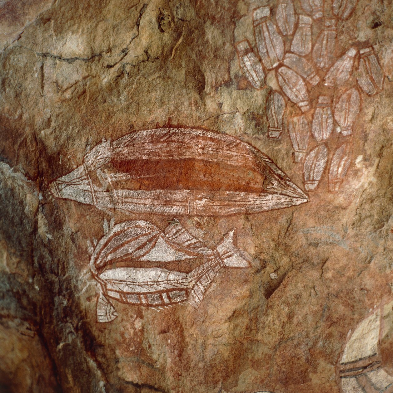 Australia, Northern Territory, Arnhem Land, Kakadun kansallispuisto, Nourlangie Rock, aboriginaalien kalliomaalauksia tekijältä Benjamin Baud