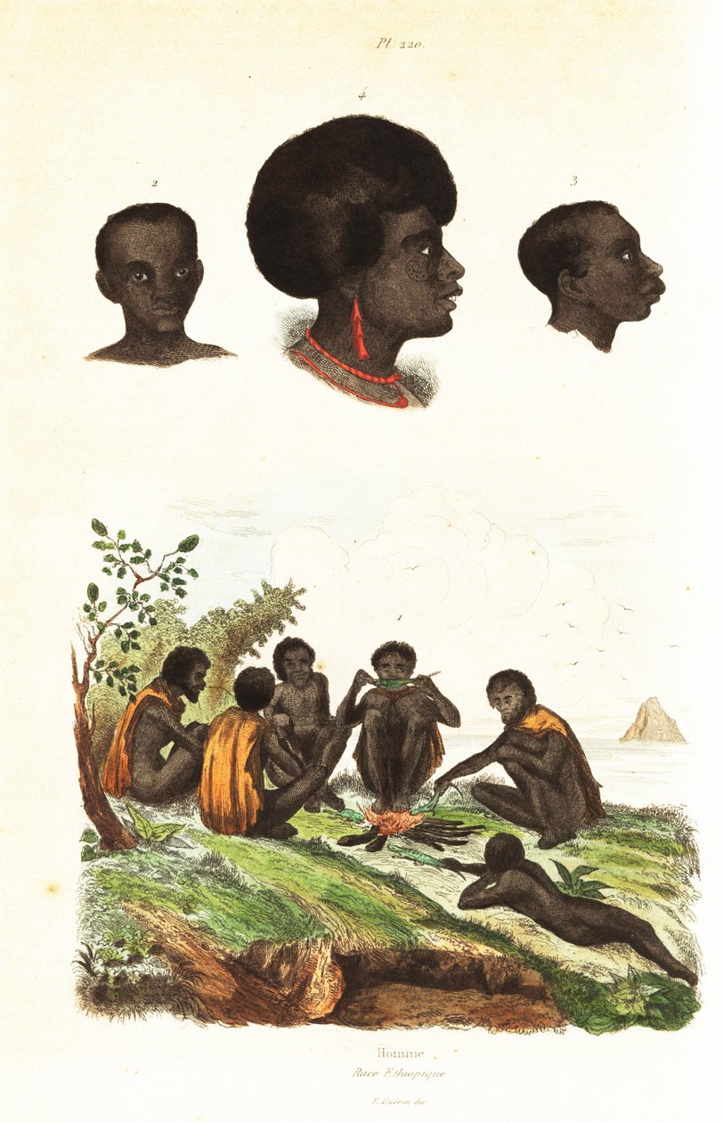 Australian aboriginaalit ja Länsi-Papuan Waigeon alkuasukkaiden päät 1834-1839 (kaiverrus) tekijältä Unbekannter Künstler
