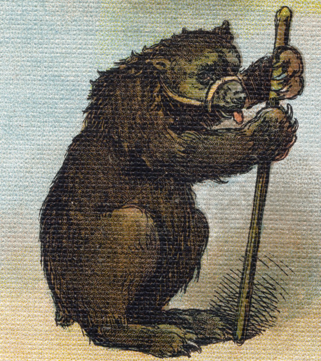 Karhu. Kaiverrus "Alphabet de ma petite fille". Bernardin-Bechet ja Fils, kirjakauppias-kustantajat, Pariisi, noin 1895. Rikkoutumaton albumi kankaalle. Bibliotheque des Bebes. 12 sivua. Albumi, joka sisältää lukumenetelmän ja havainnollisen abeceedaryn. K tekijältä Unbekannt