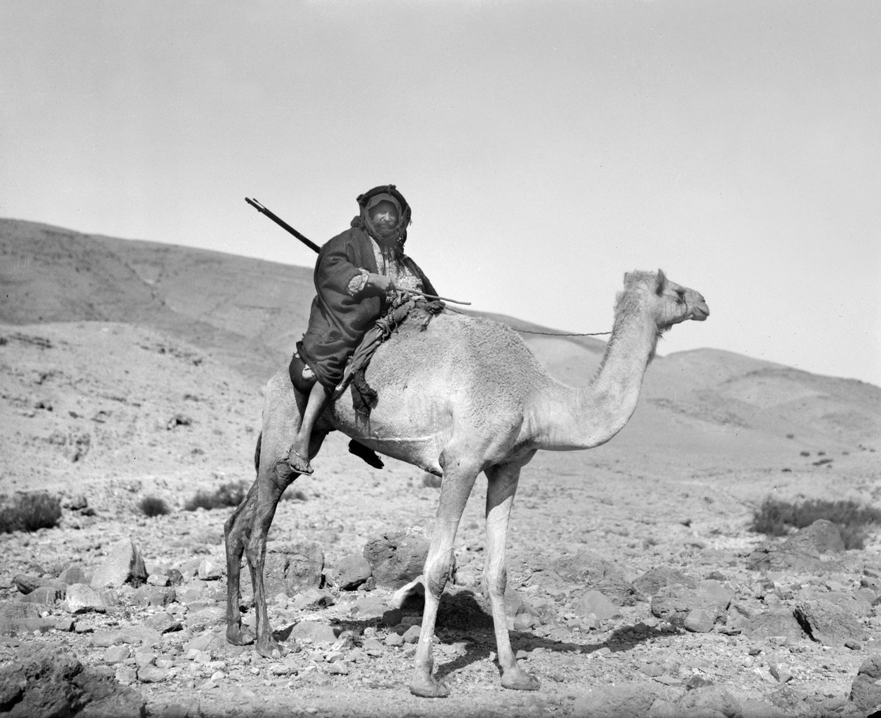 Beduiini ratsastaa kamelilla, n. 1936 (m/w kuva) tekijältä Unbekannt