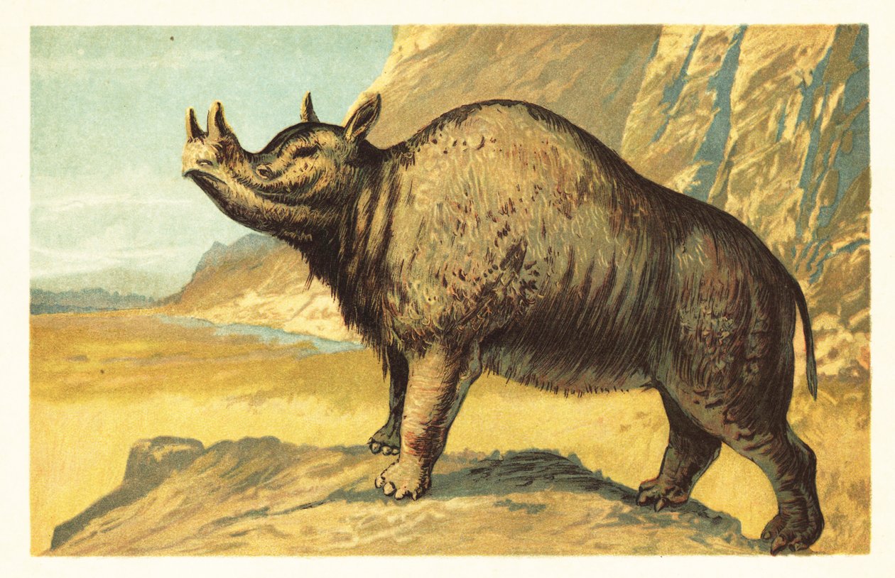 Brontops robustus tai Megacerops robustus.1908 (litografia) tekijältä Unbekannter Künstler