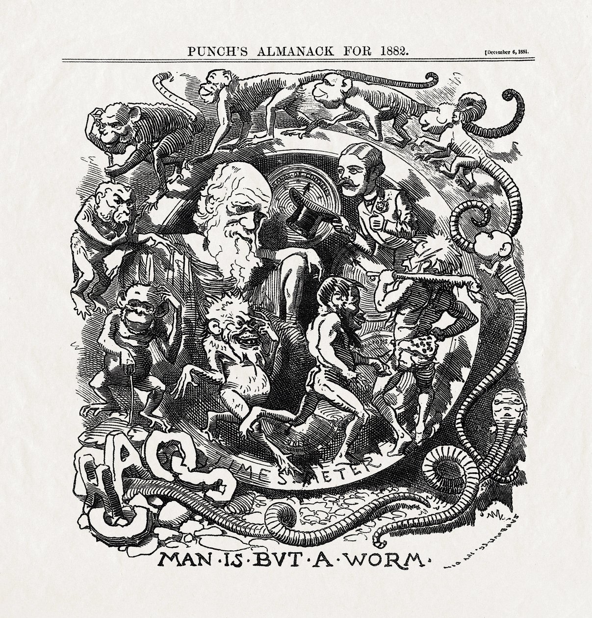 Charles Darwinin (1809-1882) evoluutioteoriaa käsittelevä pilapiirros: "Man is but a worm" (Ihminen on pelkkä mato), Punch 06/12/1881. tekijältä Unbekannter Künstler