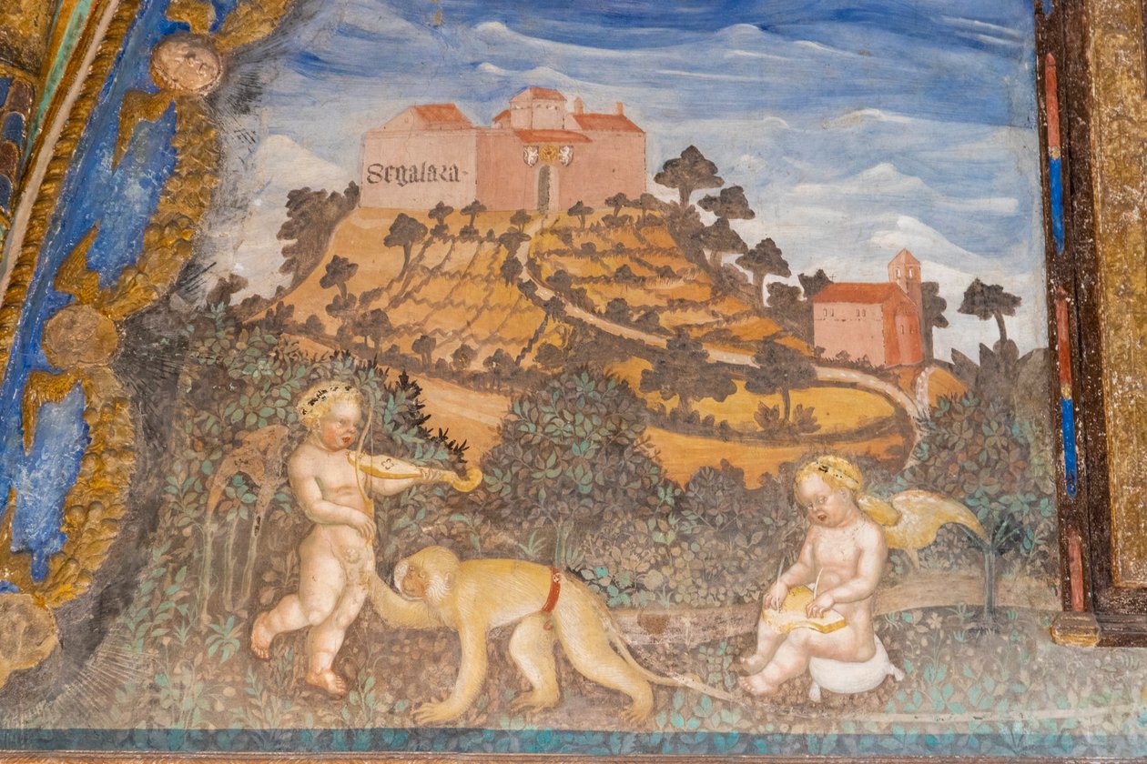 Torrechiaran linna, Camera d