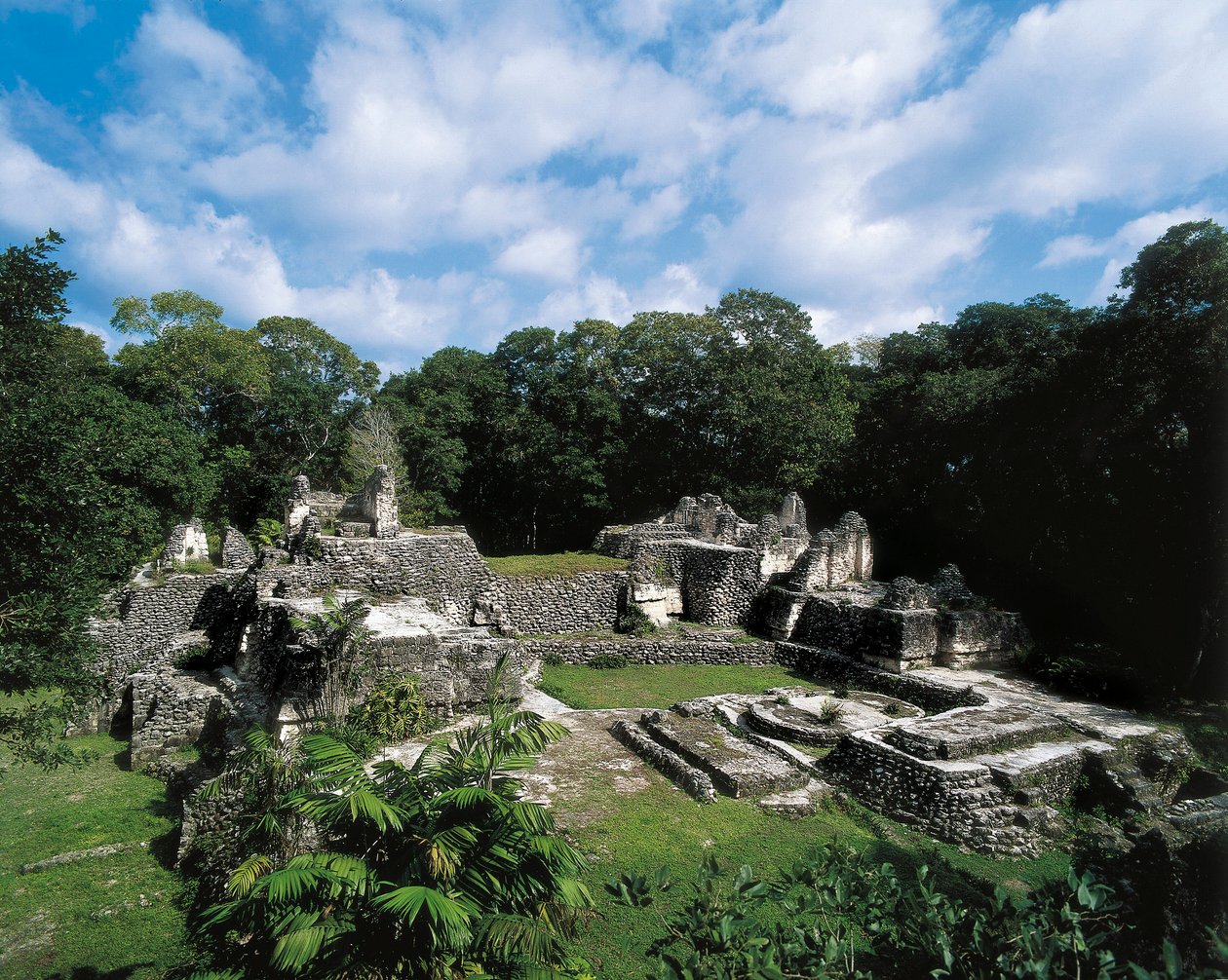 Esikolumbiaaninen sivilisaatio: näkymä Maya-alueelle Uaxactunissa (ryhmä A). Petén, Guatemala. tekijältä Alec Hunter