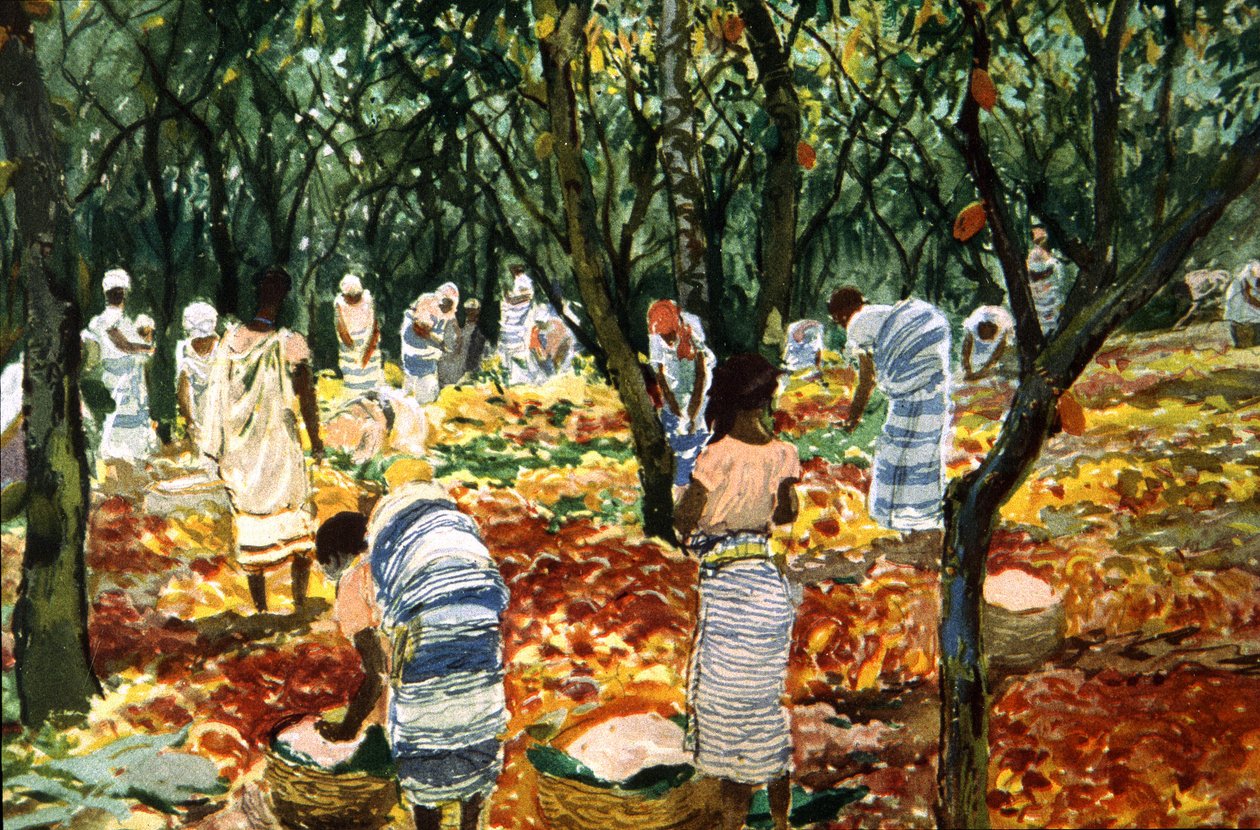 Kaakaosato Sao Tomessa, n. 1910-20 (värilitho) tekijältä Unbekannter Künstler