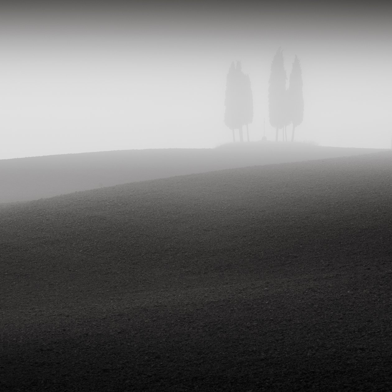 Konferenssi, Toscana, Italia, 2015 (b/w kuva) tekijältä Leopold Blonder