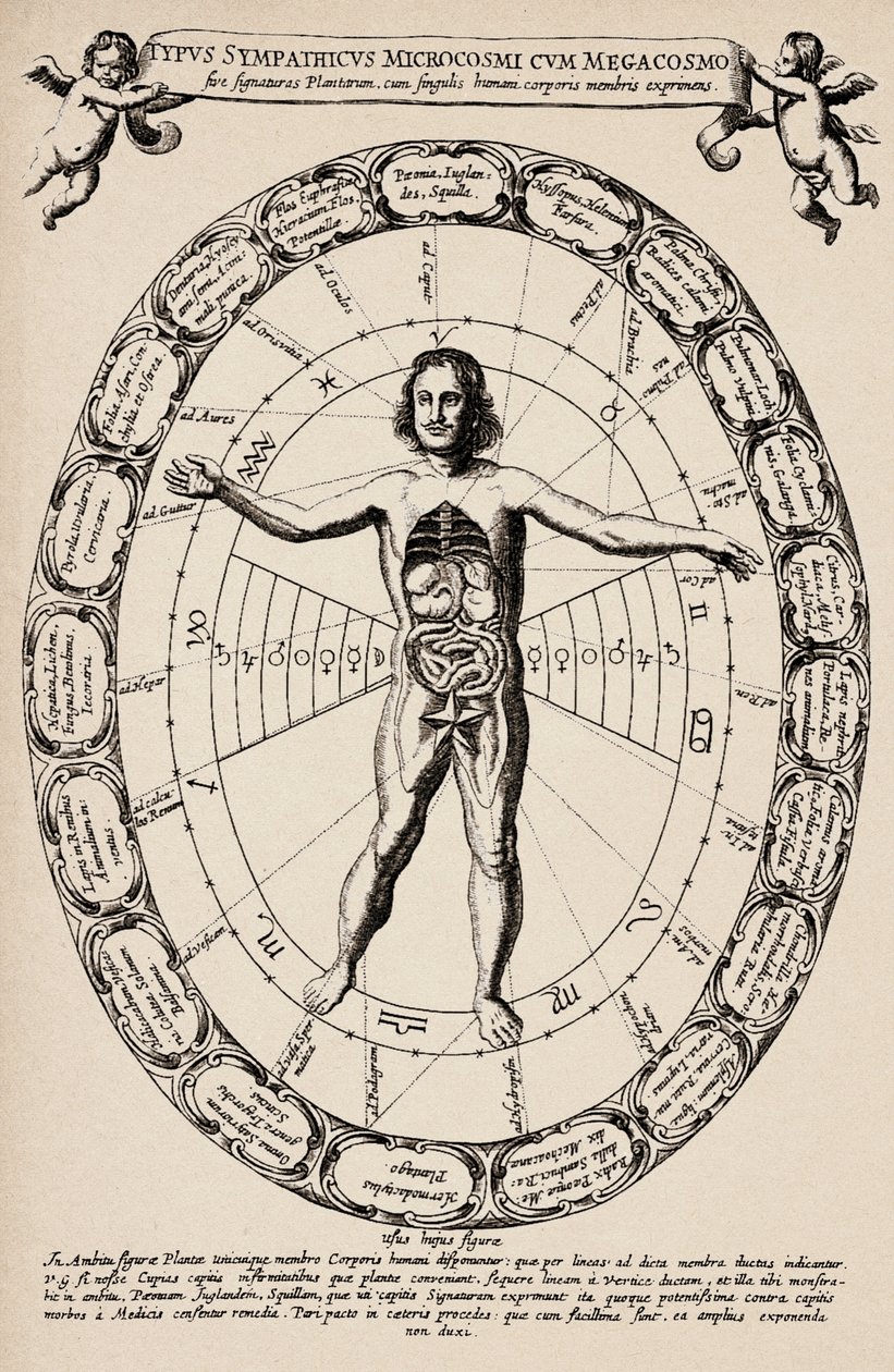 Mikrokosmoksen ja makrokosmoksen välinen vastaavuus. Kuva Athanase Kircherin (1601-1680) teoksesta "Mundus subterraneus". tekijältä Unbekannter Künstler