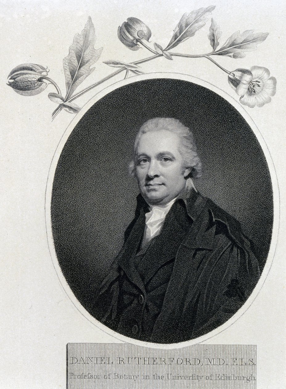 Daniel Rutherford, skotlantilainen kemisti ja kasvitieteilijä, 1800-luvun alku tekijältä Unbekannt
