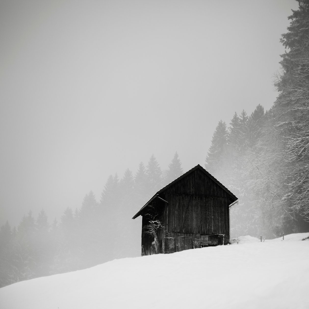Selvityksen salaisuus, Oberstaufen, Saksa, 2013 (m/v kuva) tekijältä Leopold Blonder
