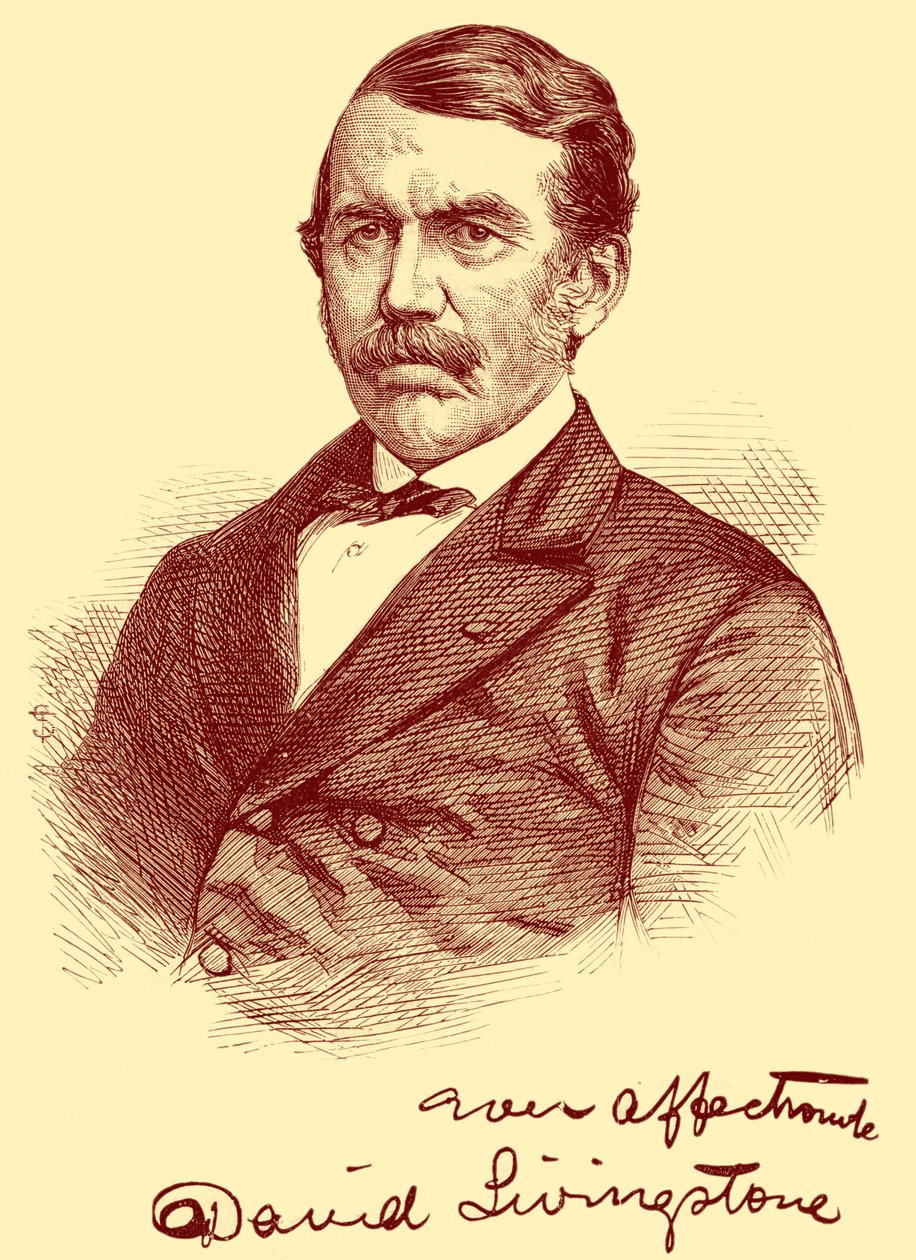 David Livingstone tekijältä Unbekannter Künstler