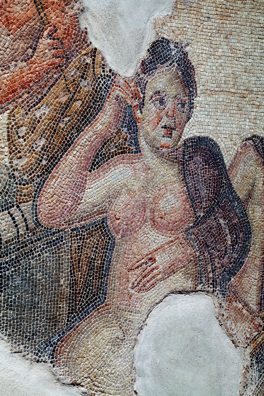 Yksityiskohta paneelista, jossa Sparta-kuningatar Leda on lacedaemonialaisten tyttöjen seurassa ottamassa kylpyä Eurotas-joessa - Zeus lähestyy häntä joutseneksi naamioituneena - Pafoksen mosaiikit, Aionin talo, 3. vuosisata jKr - Kypros - D tekijältä Unbekannter Künstler