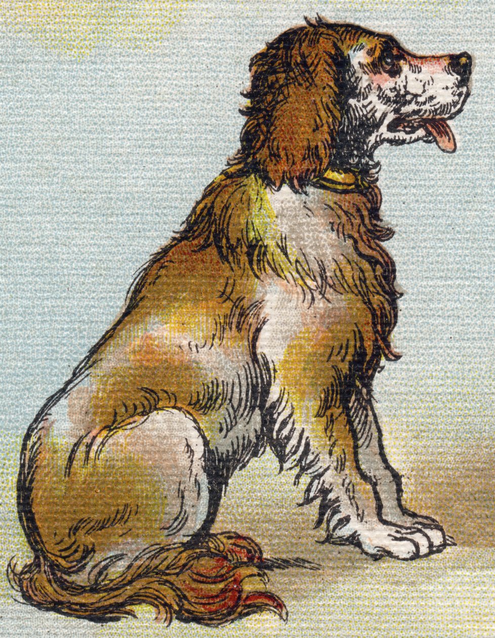 Koira. Kaiverrus "Alphabet de ma petite fille". Bernardin-Bechet ja Fils, kirjakauppias-kustantajat, Pariisi, noin 1895. Rikkoutumaton albumi kankaalle. Bibliotheque des Bebes. 12 sivua. Albumi, joka sisältää lukumenetelmän ja havainnollisen abeceedaryn. K tekijältä Unbekannt