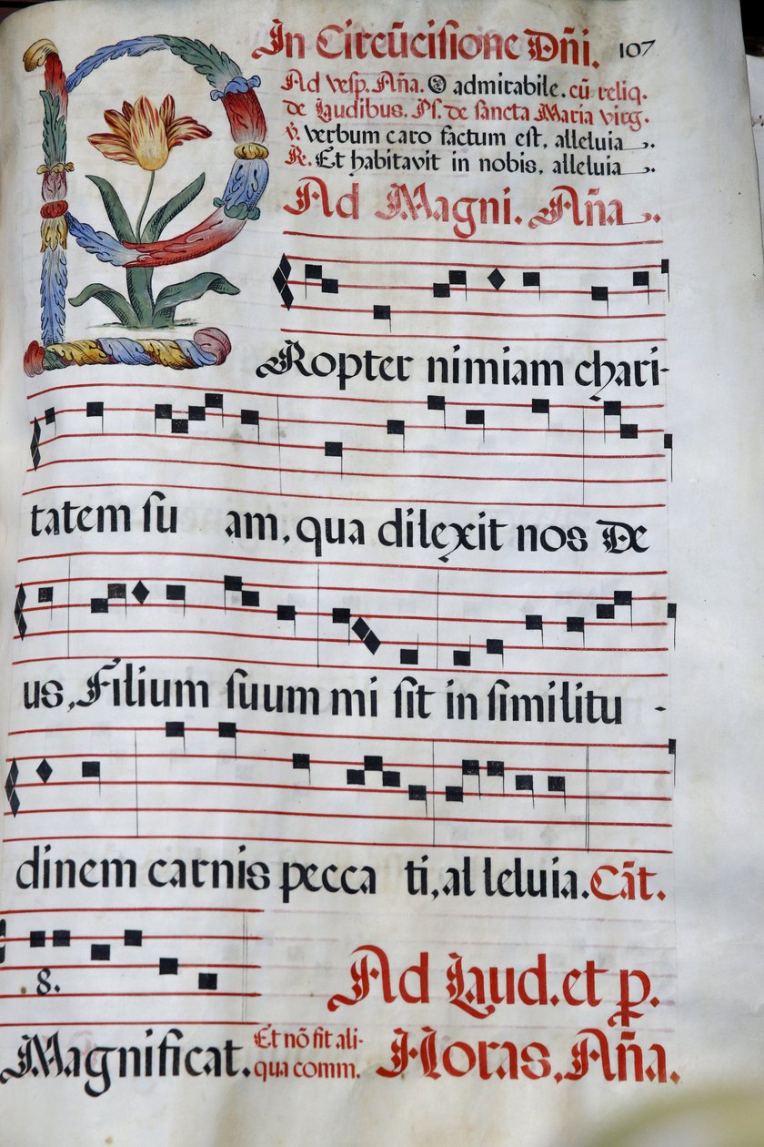 Domus Galilaeae tai House of Galilea ylläpitää katolinen organisaatio Neokatekumenaalinen Way, Antiphonary, Jeesuksen ympärileikkaus, , Autuaiden vuori, Israel tekijältä Unbekannt