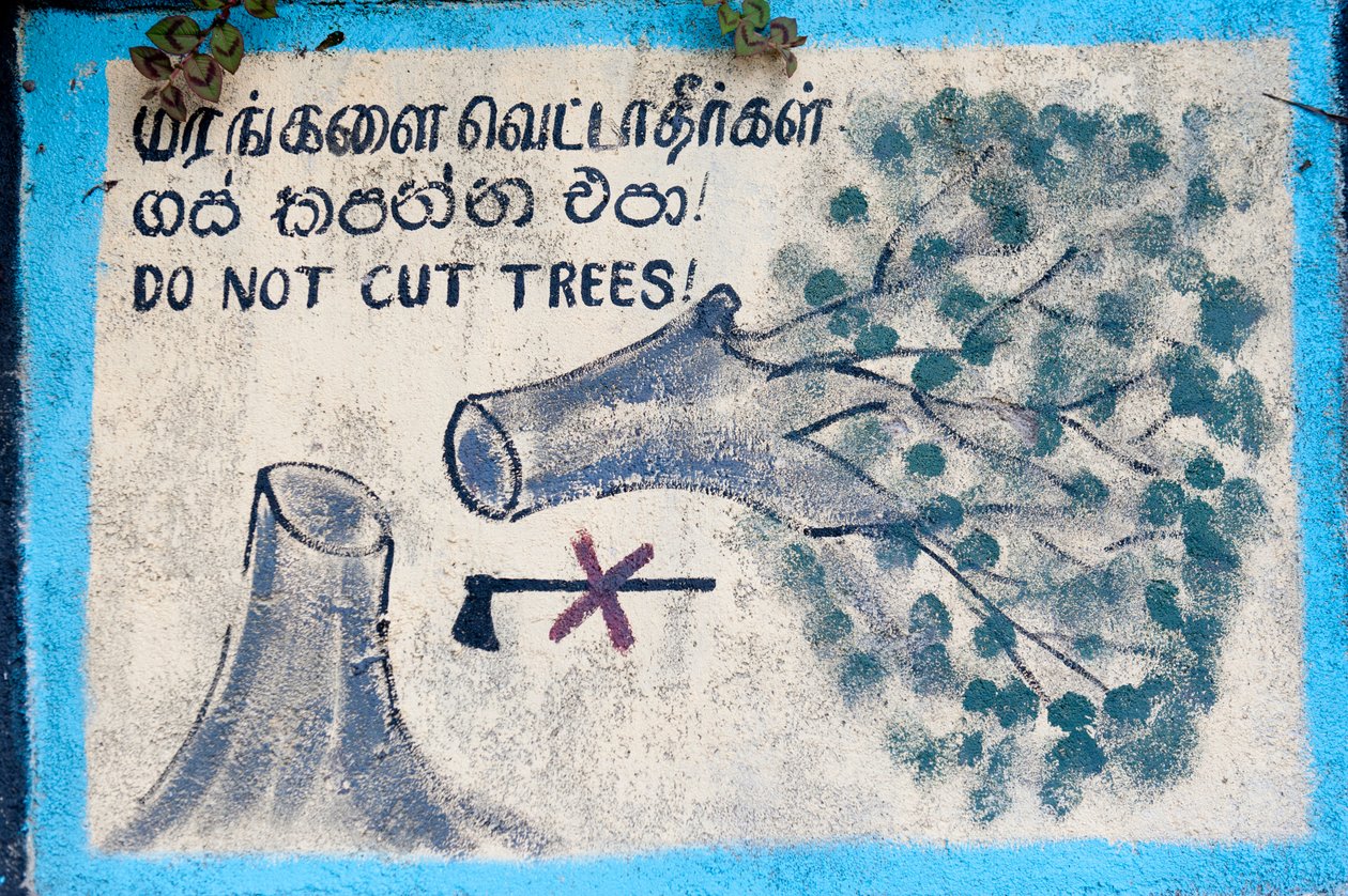 Ympäristönsuojelu; maalattu merkki; """ Älä kaada puita""""" kuvaa kaadettua puuta ja yliviivattua kirvestä; Nuwara Eliya; Sri Lanka; Aasia tekijältä Unbekannt