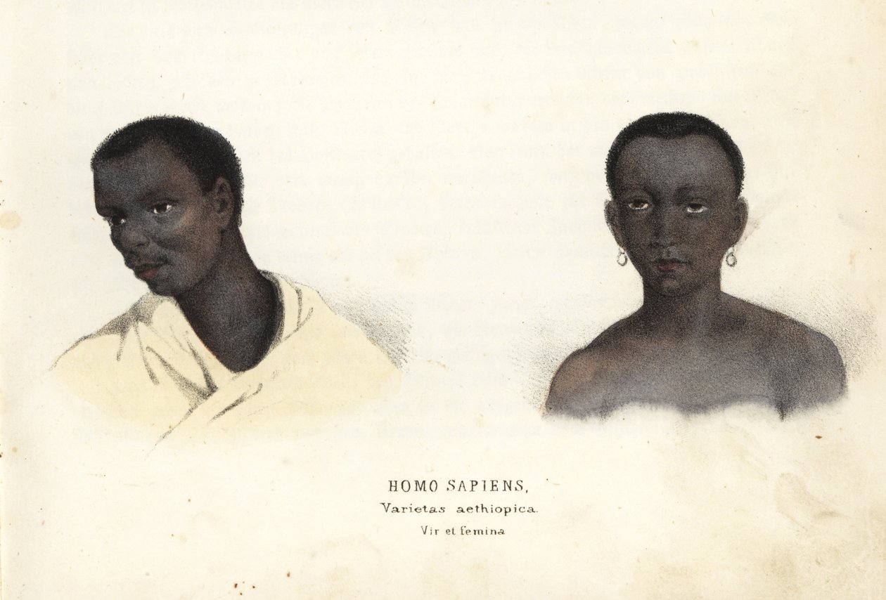 Etiopialainen mies ja nainen. Käsinväritetty teräskaiverrus Georg Friedrich Treitschken luonnonhistoriallisesta galleriasta, Naturhistorischer Bildersaal des Thierreiches, Liepzig-1842. tekijältä Unbekannter Künstler