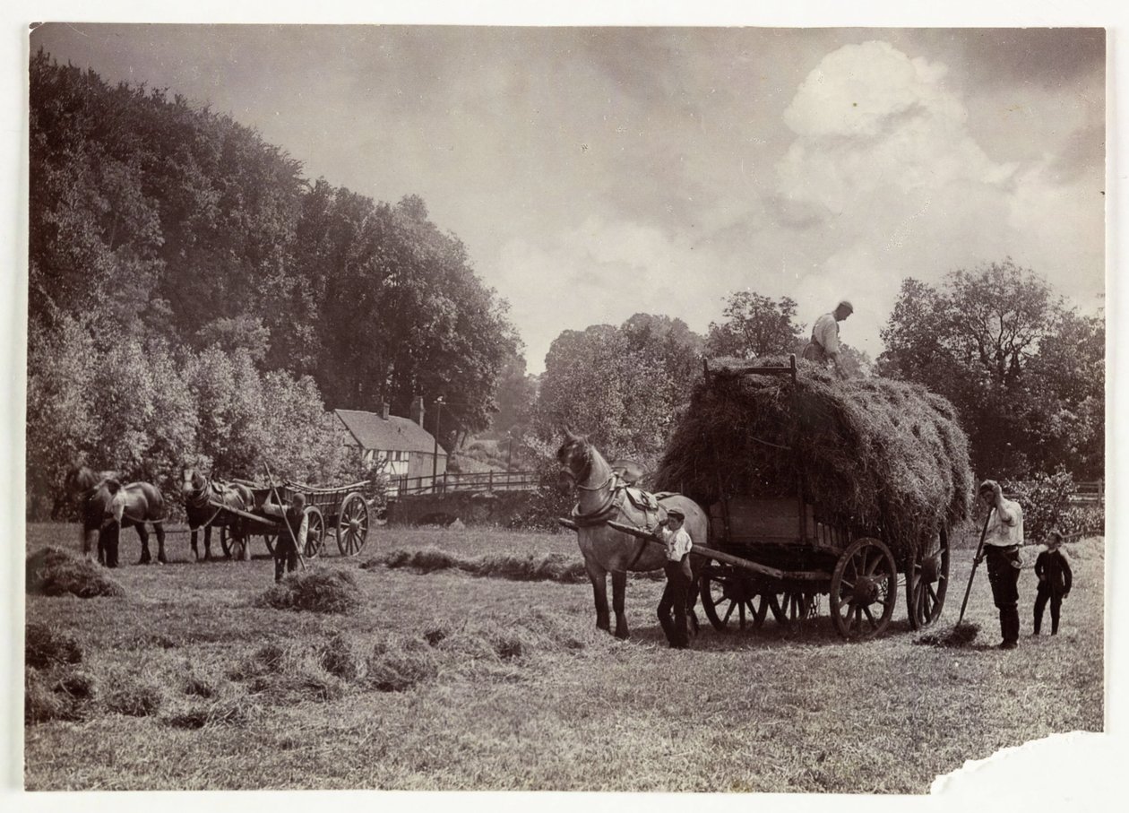 Maanviljelysnäkymät, sadonkorjuu ja varastointi, Heinänteko ennen vuotta 1900, c 1890 tekijältä Unbekannt