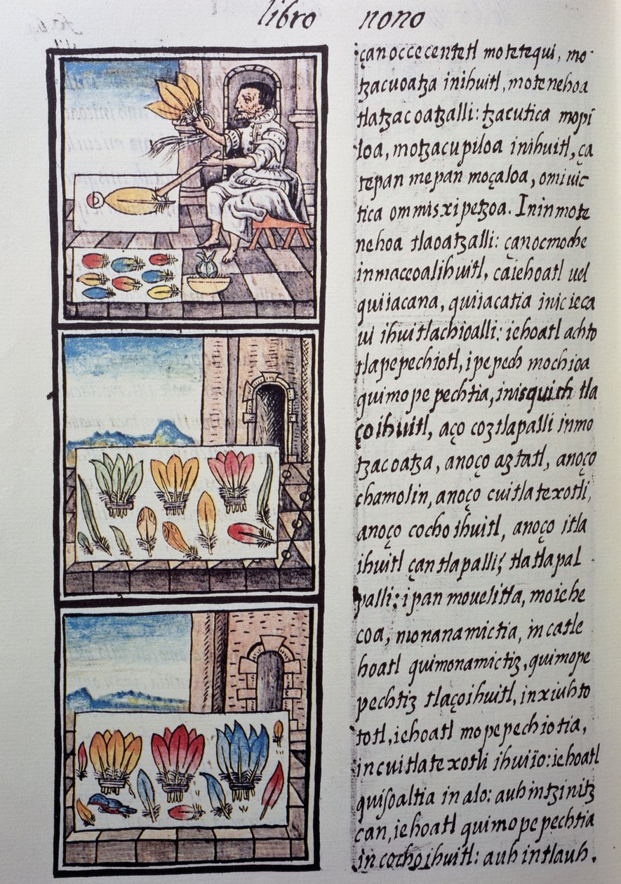 Höyhenkäsittely Espanjan valloituksen jälkeen, sivu Firenzen Codexista, kaksikielinen versio espanjaksi ja nahuatliksi, General History of Things of New Spain, espanjalainen lähetyssaarnaaja Fray Bernardino de Sahagun. Atsteekkien sivilisaatio tekijältä William M. Timlin