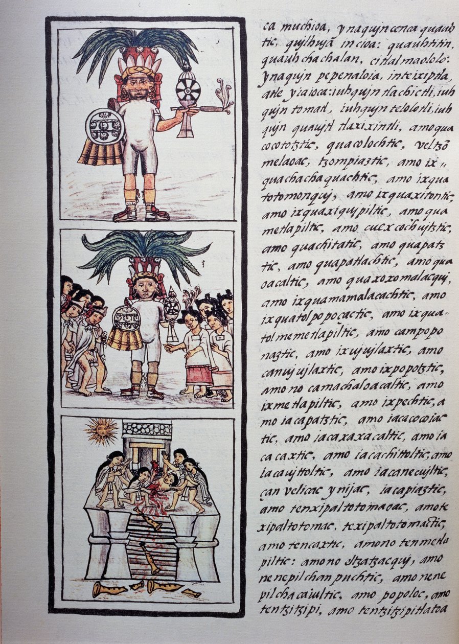 Toxcatlin ja hänen uhrinsa festivaali, Firenzen Codexin II kirja, kaksikielinen versio espanjaksi ja nahuatliksi, Uuden Espanjan asioiden yleinen historia (Historia general de las cosas de Nueva Espana), atsteekkien sivilisaatio tekijältä Benjamin Baud
