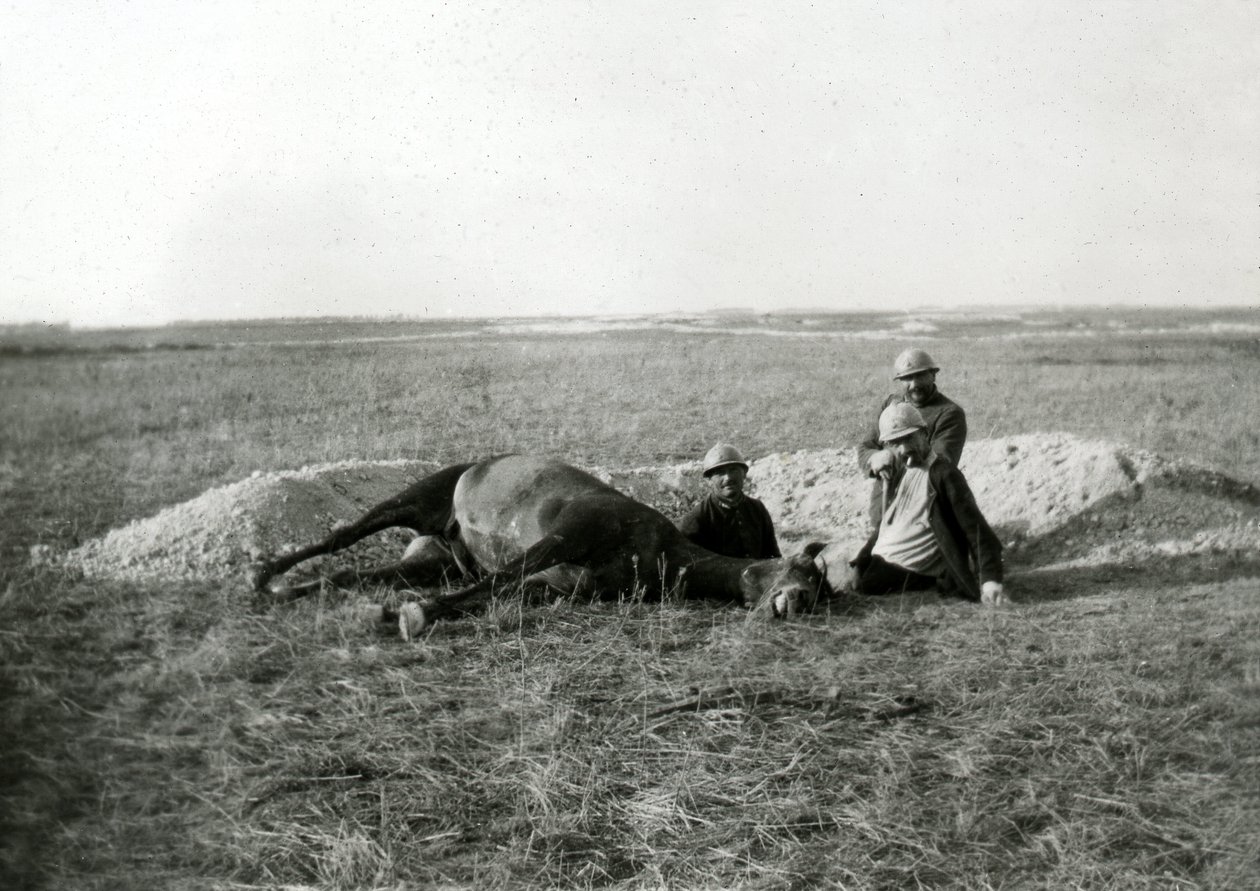 Ensimmäinen maailmansota 14-18 (1914-1918): kolme ranskalaista sotilasta hautaa kuolleen hevosen - valokuva lasilevylle - tekijältä Unbekannter Künstler