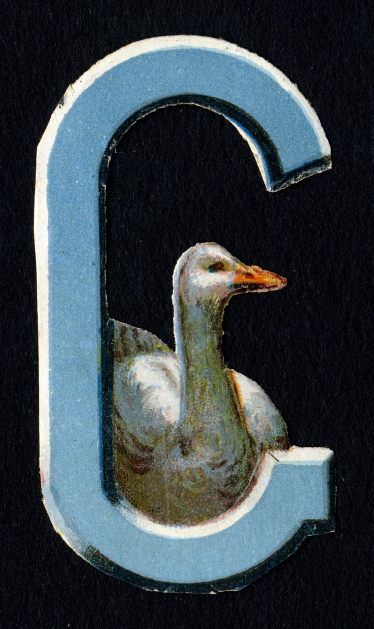 G kuten Goose. Beetle decoupis eläinten teemalla. Kaiverrus. Englanninkielisen 26 vohvelikromolitografian sarja. Toimittaja ja kuvittaja tuntematon. 1800-luvun loppu. Mitat: 5,5 x 3,5 cm tekijältä Unbekannt