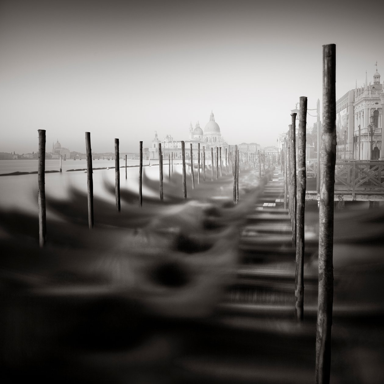 Gondoli - Study 8 Venetsia, Italia, 2013 (b/w kuva) tekijältä Leopold Blonder