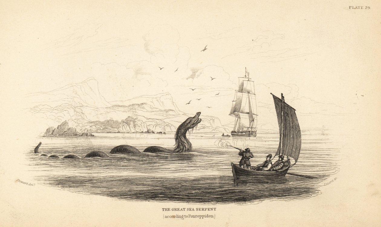 Suuri merikäärme, jonka Lawrence by Ferryn miehistö ampui vuonna 1746. Kuvattu piispa Erik Pontoppidanin teoksessa Norjan luonnonhistoria. tekijältä Unbekannter Künstler