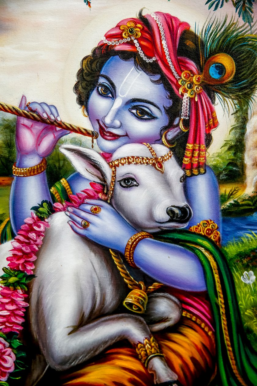 Hindujumala Krishna tuon vasikan kanssa. Watford, Iso-Britannia (kuva) tekijältä Unbekannt