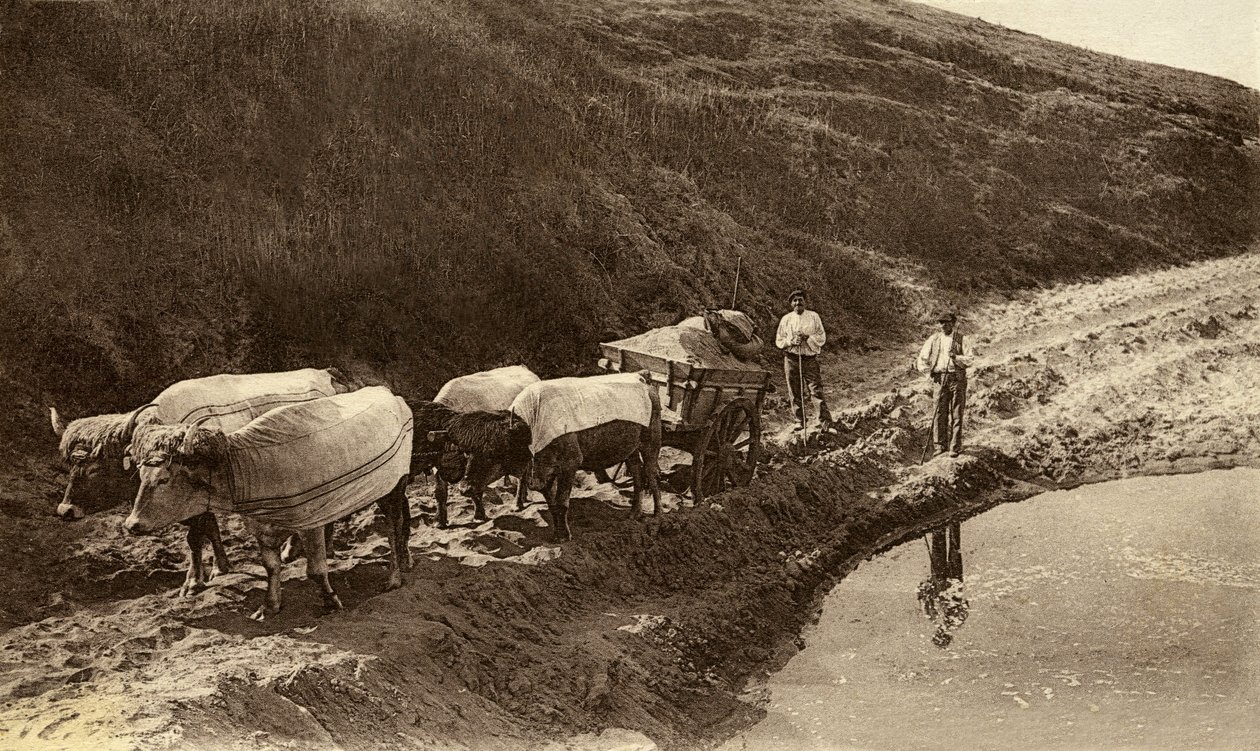 Baskimaisilla kankailla päällystetty härkäkoukku, 1900-luvun alku (b/w kuva) tekijältä Alec Hunter
