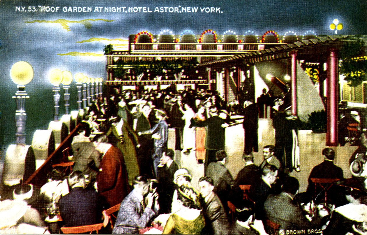 Hotel Astor, New York City - kattopuutarha yöllä tekijältä Unbekannter Künstler
