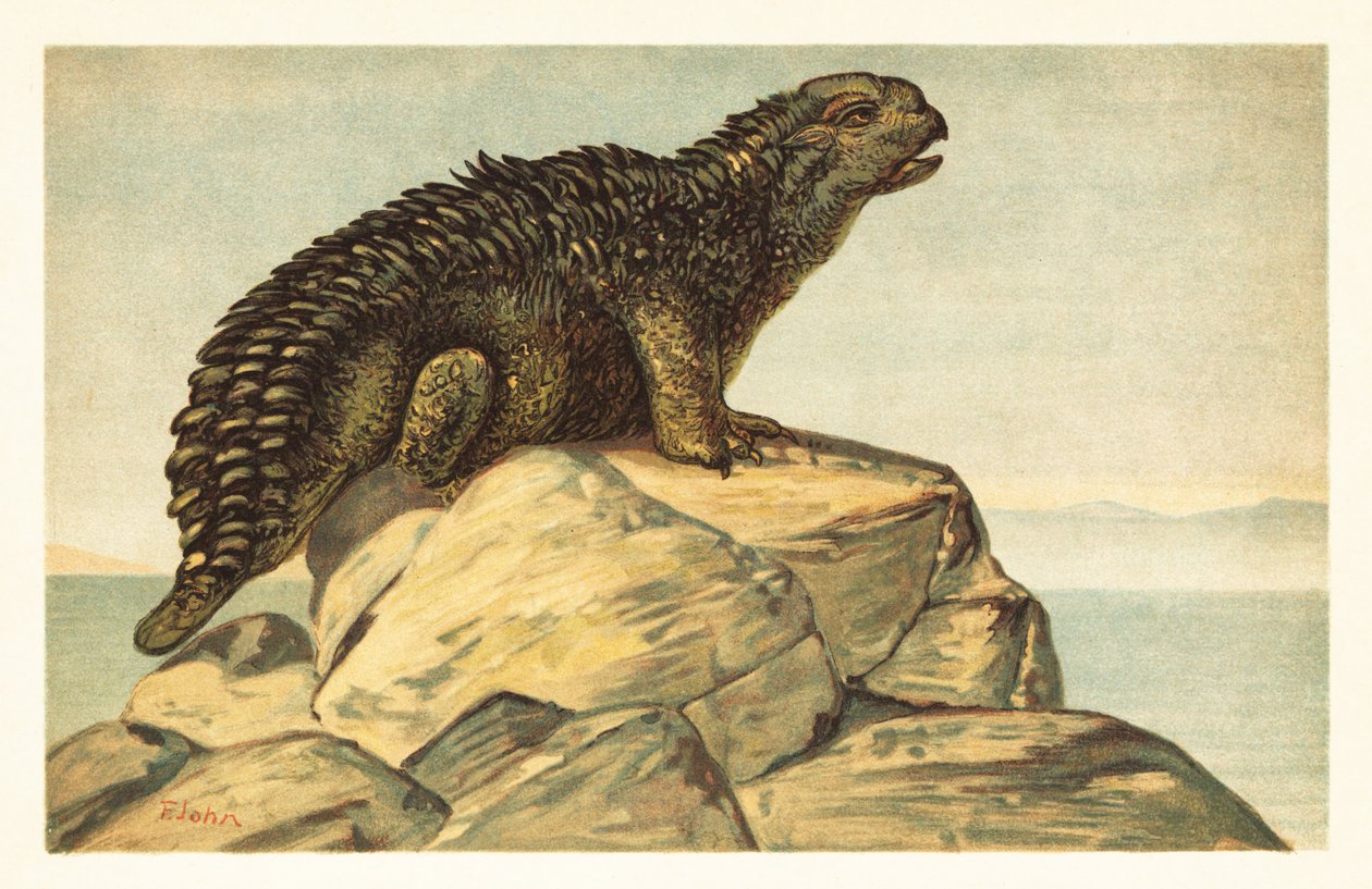 Hylaeosaurus armatus, sukupuuttoon kuollut kasvinsyöjä ankylosaurian dinosaurus 1908 (litografia) tekijältä Unbekannter Künstler