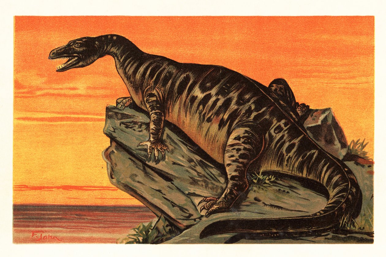 Iguanodon bernissartensis, sukupuuttoon kuollut Iguanodontian dino1908 -laji (litografia) tekijältä Unbekannter Künstler
