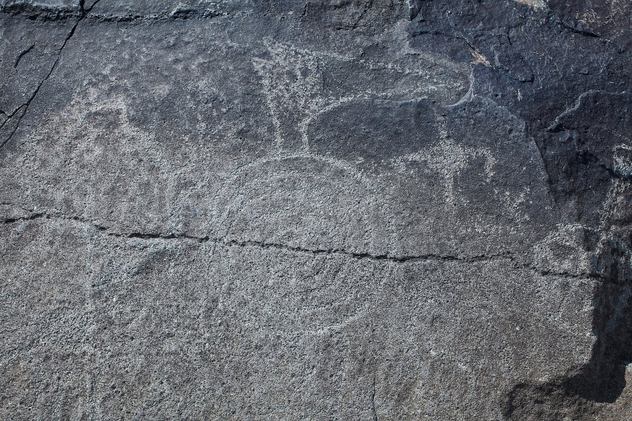 Intialaiset petoglyfit - Eläinten ja symbolien esitykset - Petroglyph National Monument - Albuquerque, New Mexico, USA (USA) tekijältä William M. Timlin