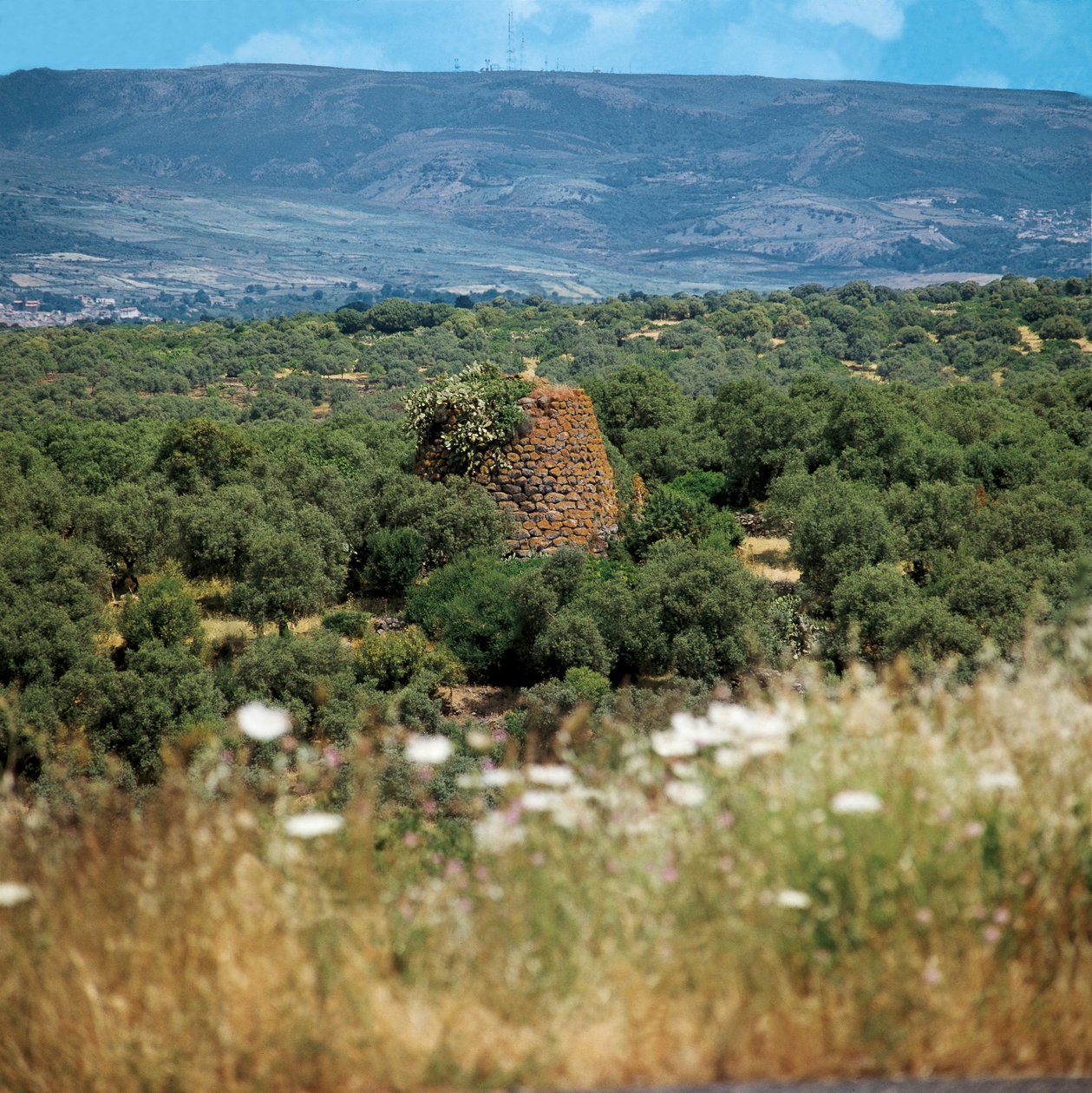 Italia, Sardinian alue, Oristanon maakunta, Nuraghe Crabia tekijältä William M. Timlin