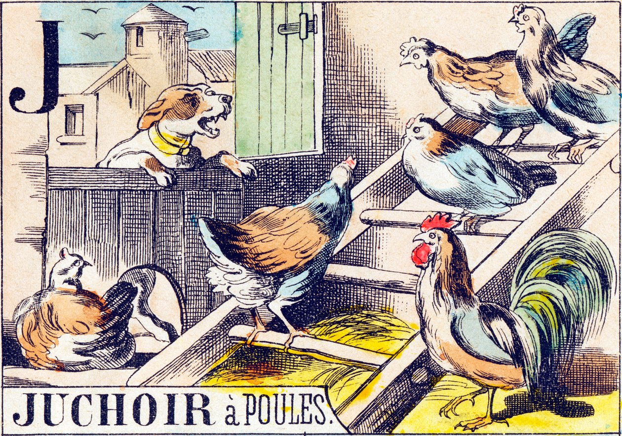 J Juchoir a poules - "Matalon aakkoset" 1800-luvun loppu (kaiverrus) tekijältä Unbekannt
