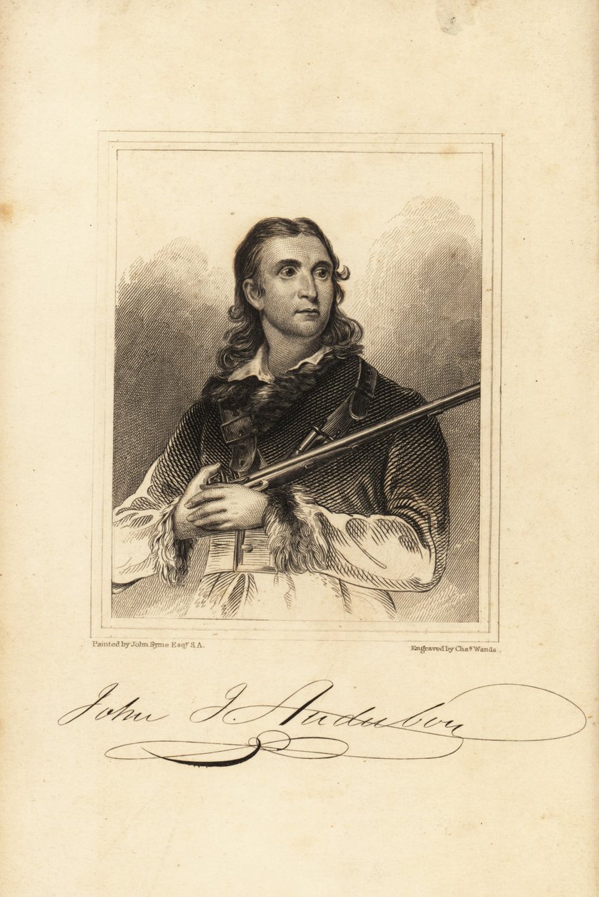 John James Audubon, yhdysvaltalainen ornitologi, luonnontieteilijä ja taidemaalari tekijältä Unbekannt